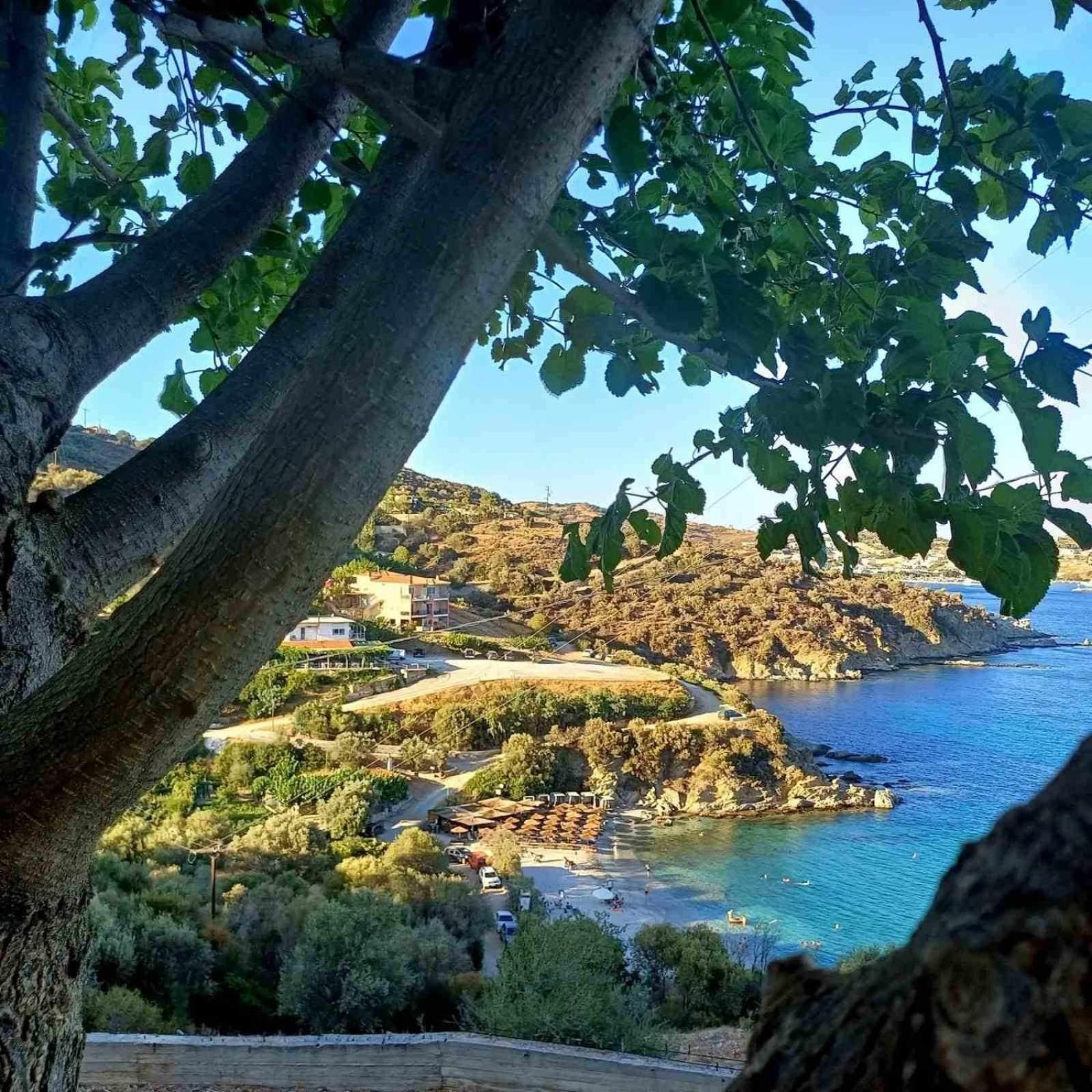 Aegean Beachfront Petriaí Buitenkant foto